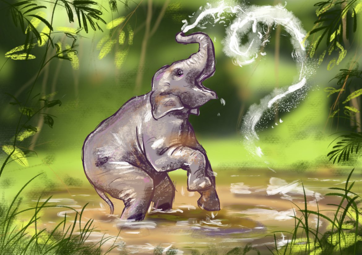 felix scholz illustration elephant jungle childrensbook