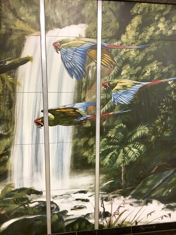 felix scholz illustration berlin hermannstrasse undergroundstation metro jungle macaws parrots