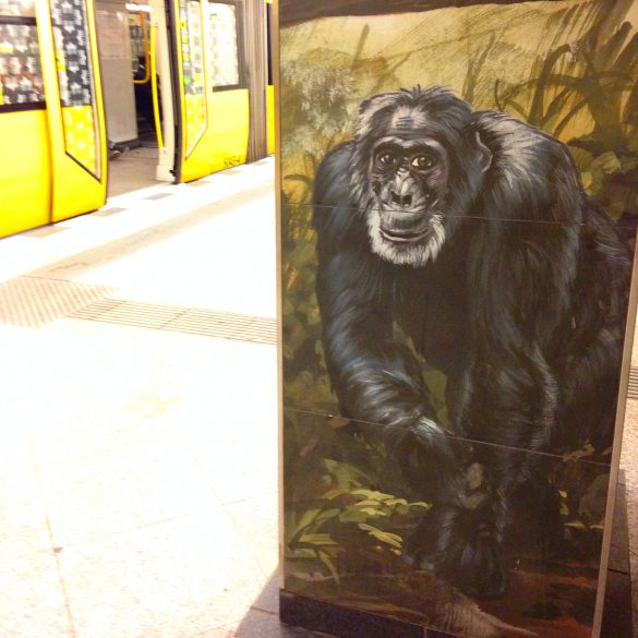 felix scholz illustration berlin hermannstrasse undergroundstation metro jungle chimpanzee