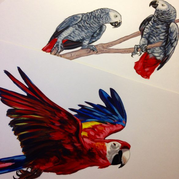 felix scholz illustration berlin hermannstrasse undergroundstation metro jungle african grey parrot red macaw