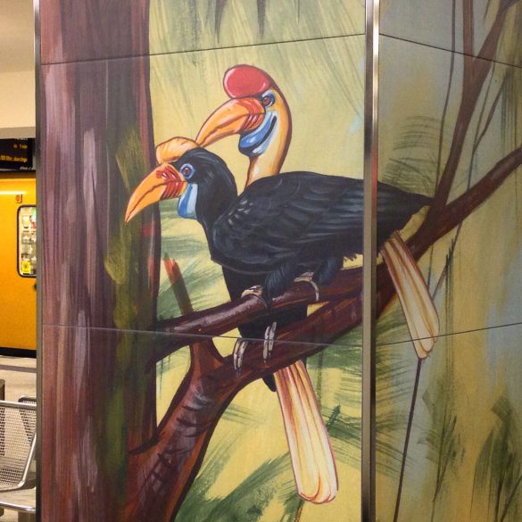 felix scholz illustration berlin hermannstrasse undergroundstation metro jungle knobbed hornbill