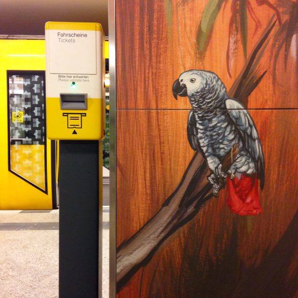 felix scholz illustration berlin hermannstrasse undergroundstation metro jungle african grey parrot