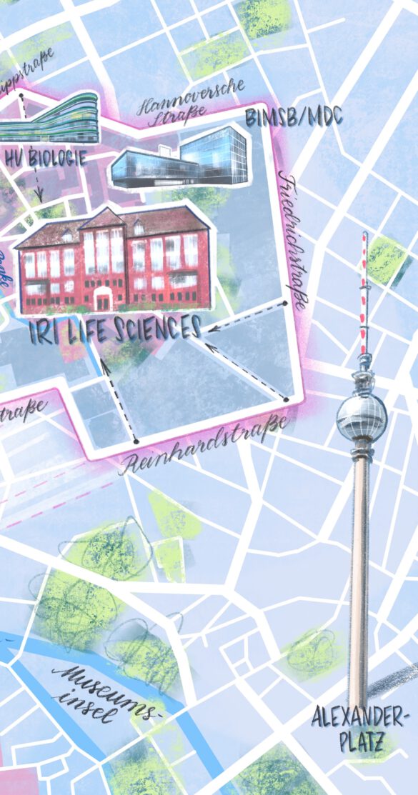 illustrierter Lageplan des Berliner Zentrums mit Fernsehturm Museumsinsel und Instituten der Charite