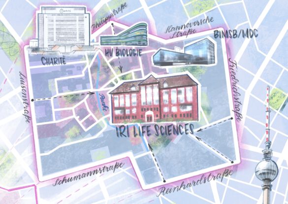 Illustrierter Lageplan Berlins mit dem Campus der Humboldt Universität