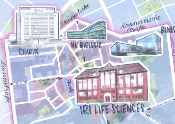 Illustrierter Lageplan Berlins mit Institutsgebäuden der Humboldt Universität Berlin und Charite