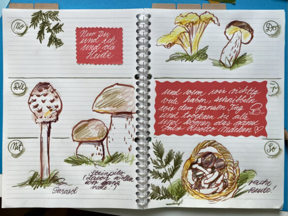 Zeichnungen von Pilzen in einem Kalender