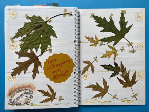 Herbstlaub und ein kleiner Igel als Illustration bzw gezeichnete Collage in einem selbst gestalteten aufgeschlagenen Kalender