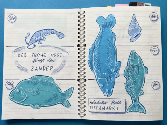 Fische und eine Garnele als Illustration bzw gezeichnete Collage in einem selbst gestalteten aufgeschlagenen Kalender