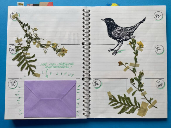 Amsel und getrocknete Pflanzen als Illustration bzw gezeichnete Collage in einem selbst gestalteten aufgeschlagenen Kalender