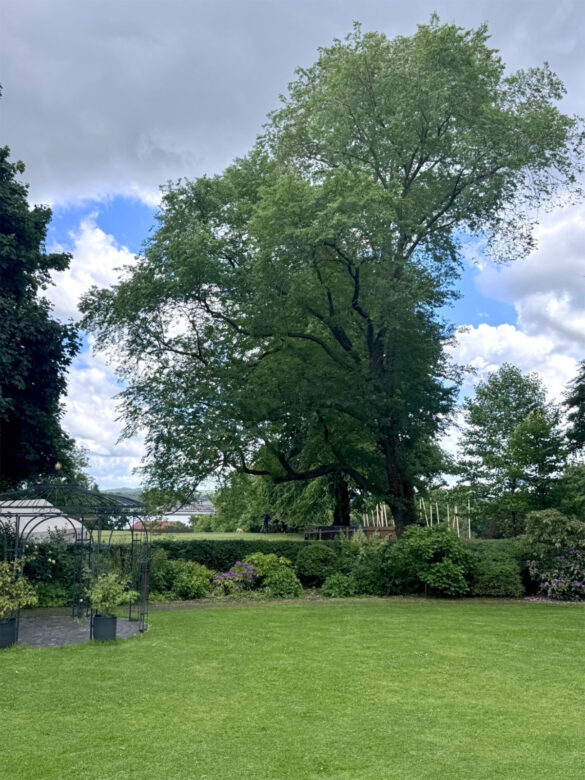 Der Parkartige Garten des Hotels Kieler Kaufmann mit Pavillon und Blick auf die Kieler Förde